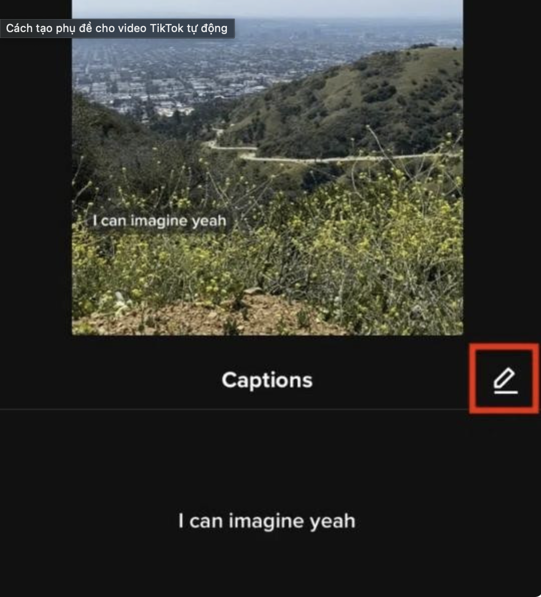 huong-dan-toan-tap-cach-them-phu-e-cho-video-tiktok
